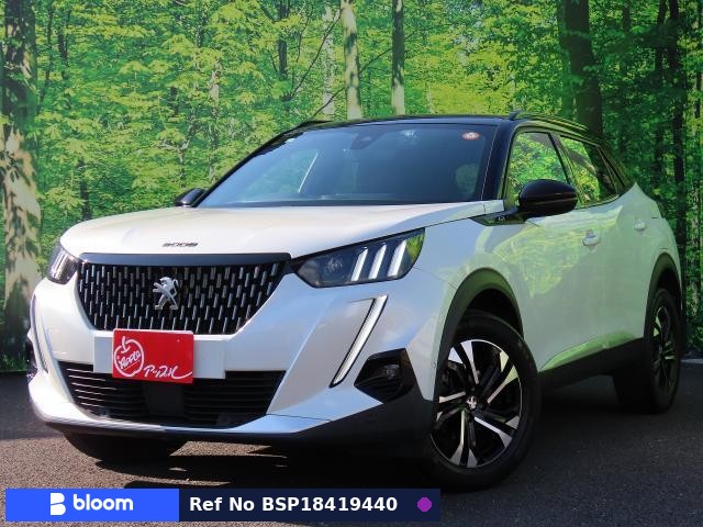2021 Peugeot 2008