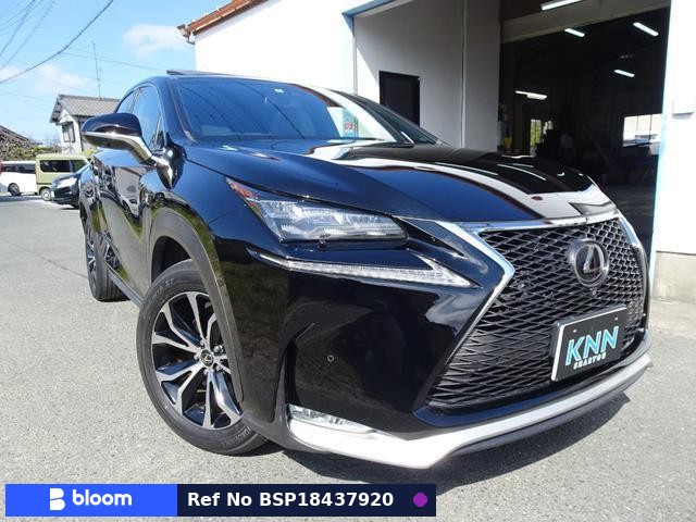 2014 Lexus NX