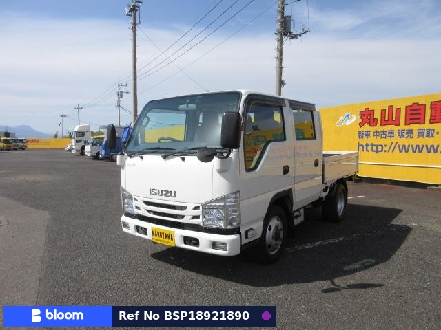 2019 Isuzu ELF Truck