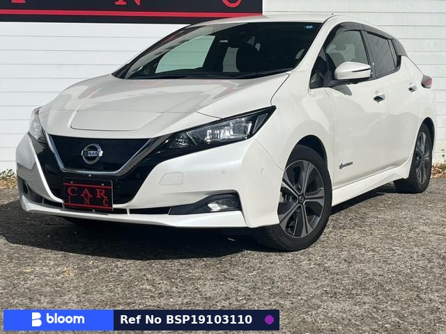 2019 Nissan Leaf