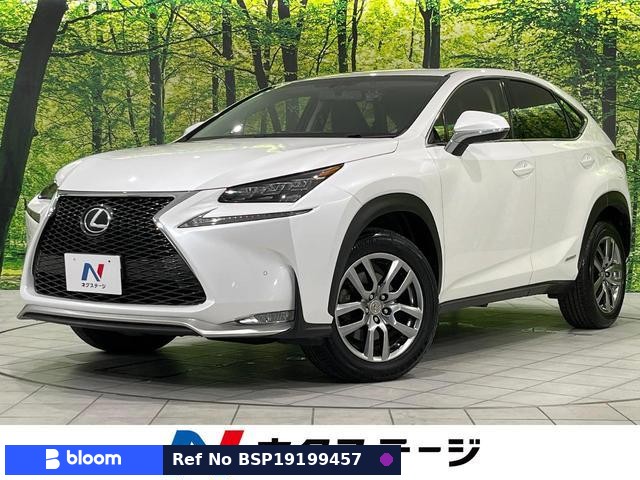 2015 Lexus NX