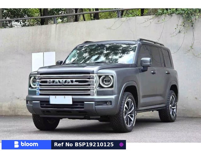2024 Great Wall Haval H9