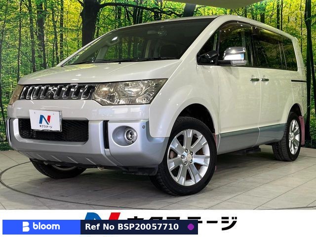 2009 Mitsubishi Delica D5