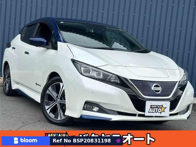 2018 Nissan Leaf