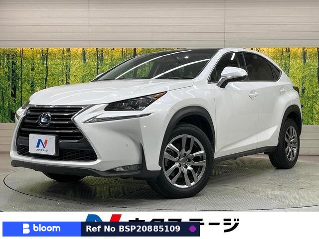 2015 Lexus NX