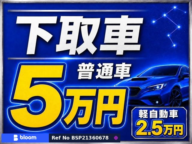 2020 Subaru Levorg