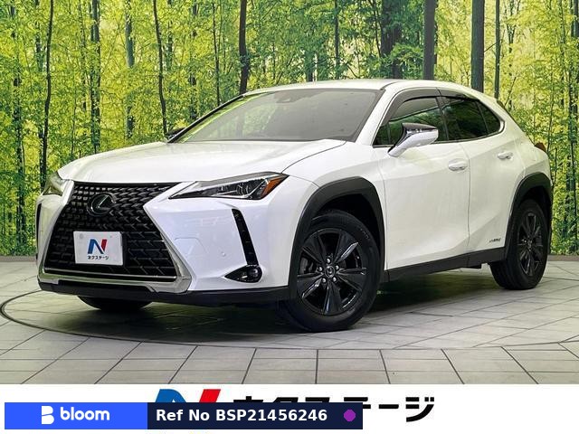 2020 Lexus UX