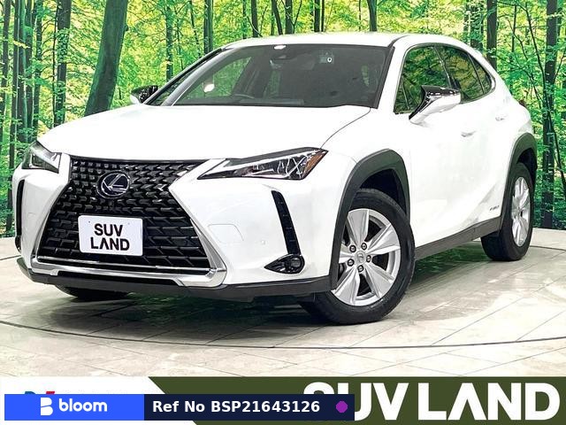 2021 Lexus UX