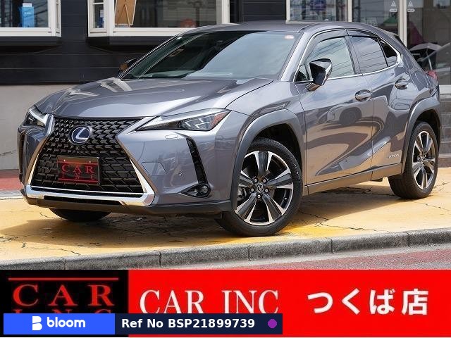 2021 Lexus UX