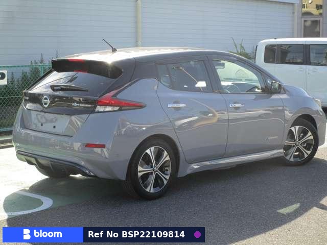 2020 Nissan Leaf
