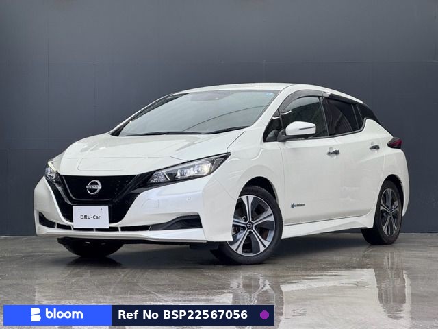 2021 Nissan Leaf