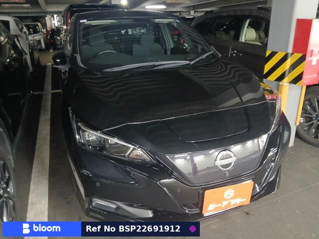 2022 Nissan Leaf