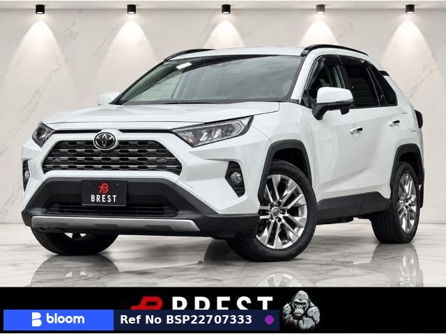 2020 Toyota RAV4