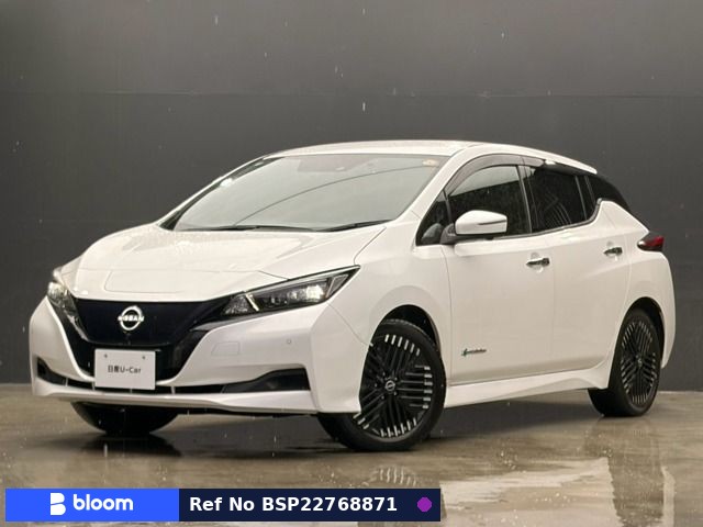 2022 Nissan Leaf