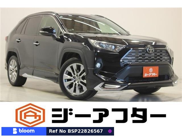 2019 Toyota RAV4