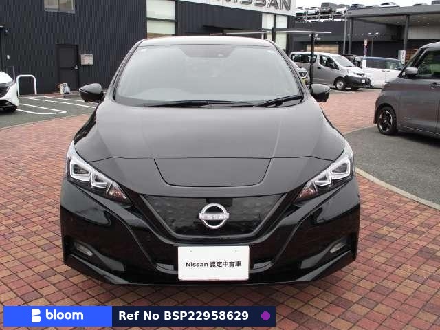 2022 Nissan Leaf