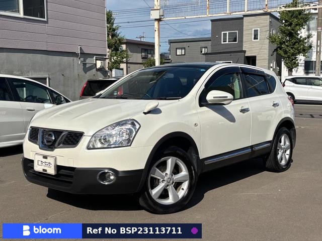 2013 Nissan Dualis