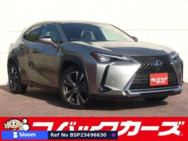 2019 Lexus UX
