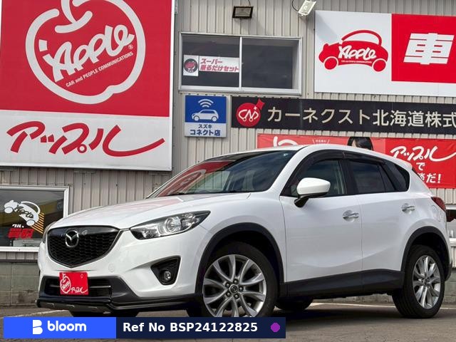 2013 Mazda CX-5