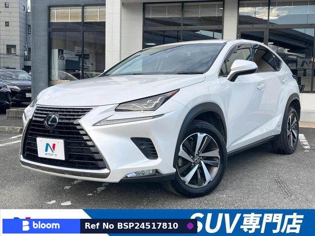 2018 Lexus NX