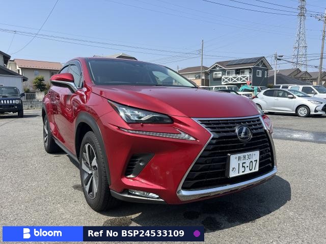 2018 Lexus NX