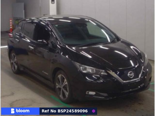 2019 Nissan Leaf