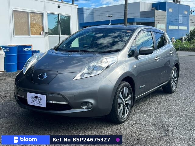 2016 Nissan Leaf