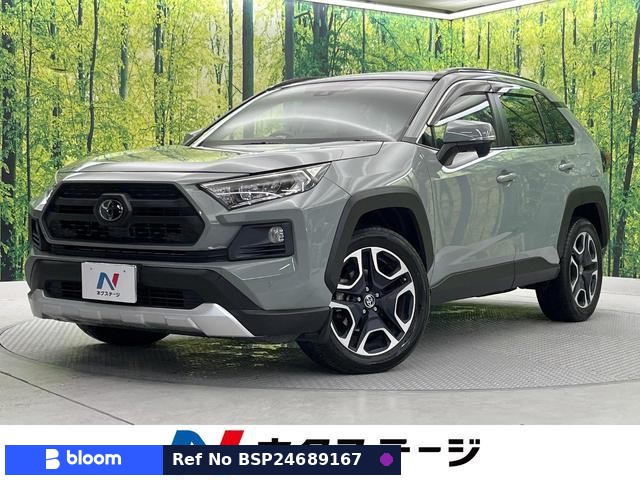 2019 Toyota RAV4