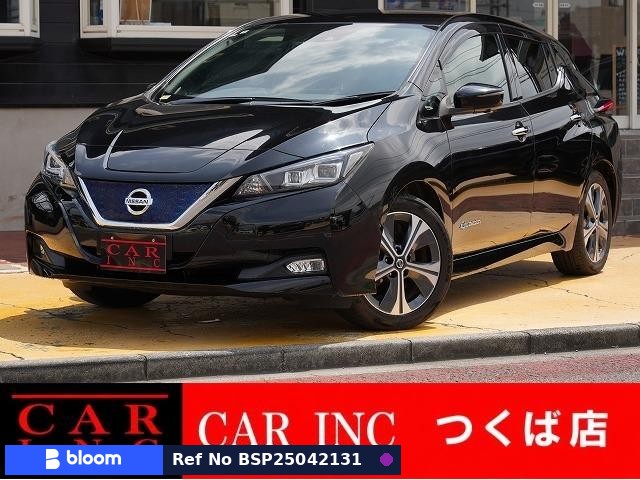 2020 Nissan Leaf