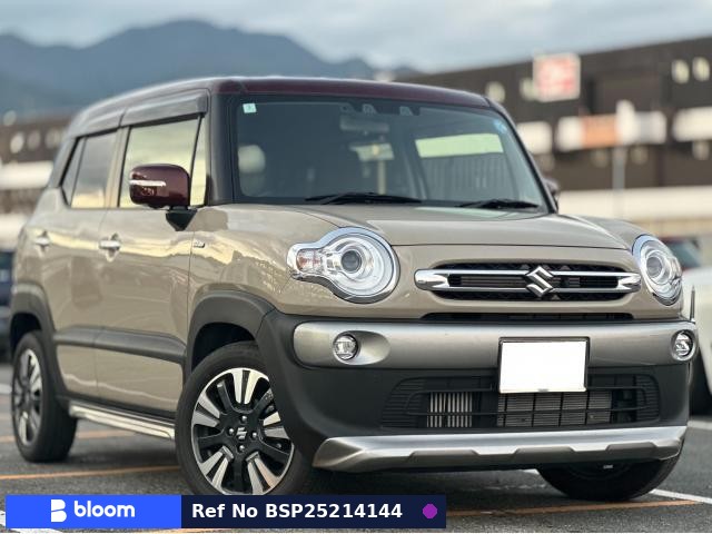 2024 Suzuki X BEE