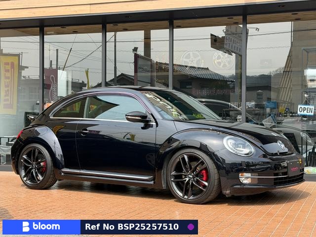 2013 Volkswagen THE Beetle