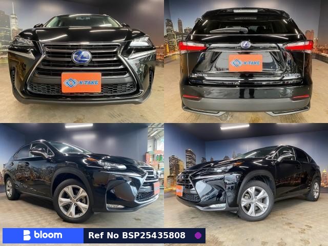 2014 Lexus NX