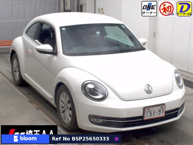2013 Volkswagen THE Beetle