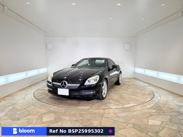 2013 Mercedes-Benz SLK Class