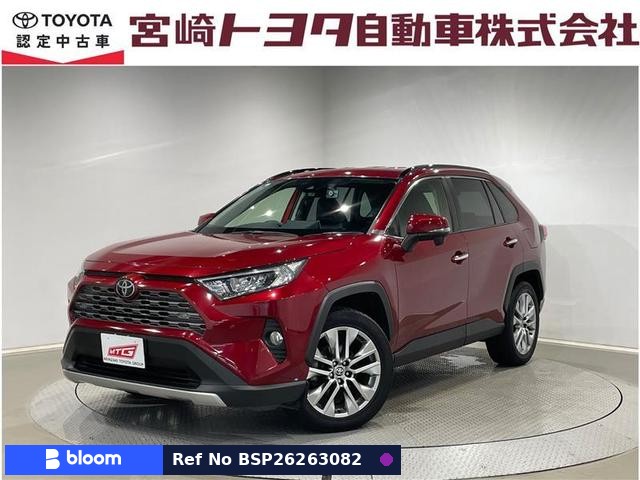 2019 Toyota RAV4