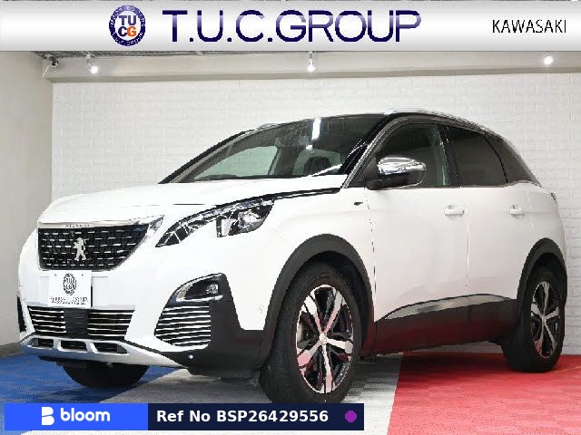 2019 Peugeot 3008