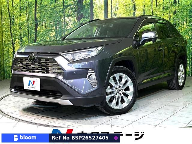 2019 Toyota RAV4