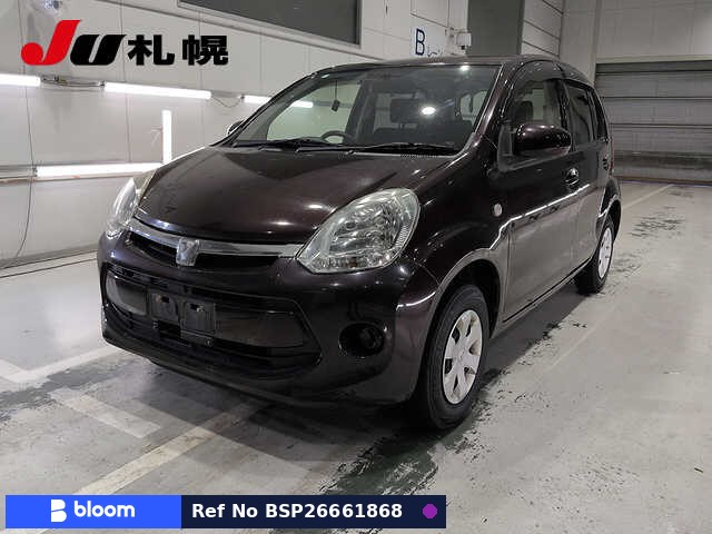 2007 Toyota Passo