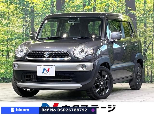 2019 Suzuki X BEE