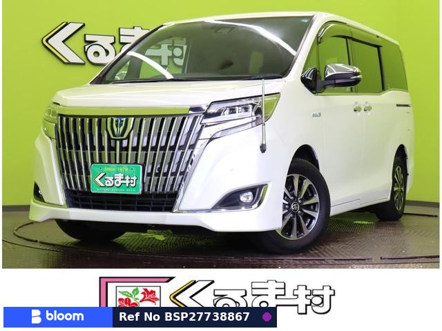 2019 Toyota Esquire