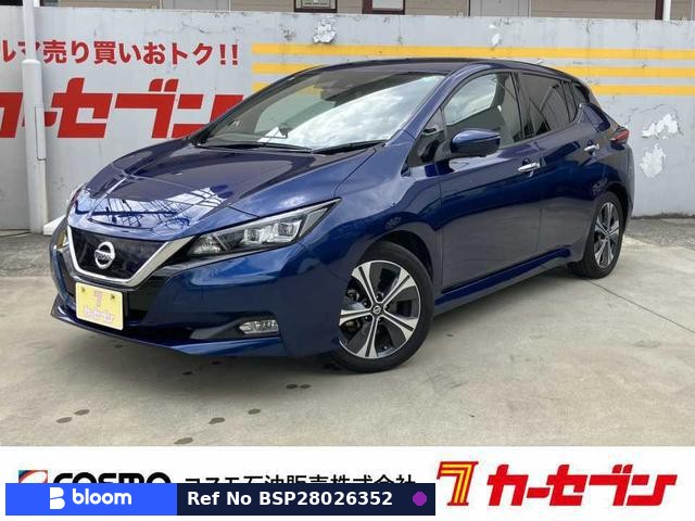 2020 Nissan Leaf