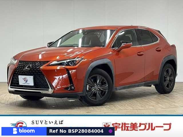 2020 Lexus UX