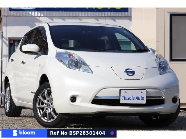 2017 Nissan Leaf