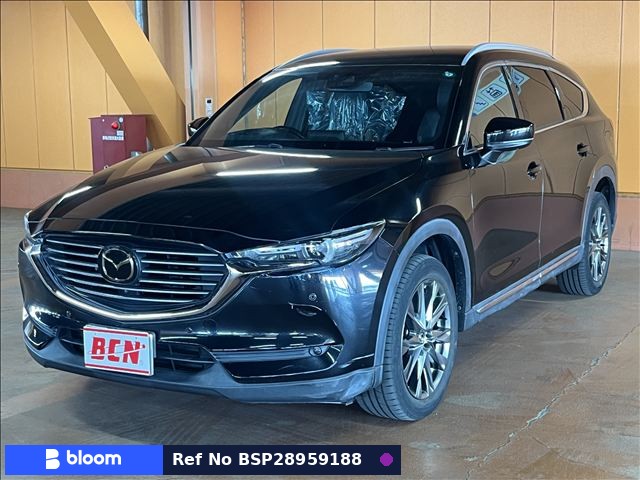 2019 Mazda CX-8