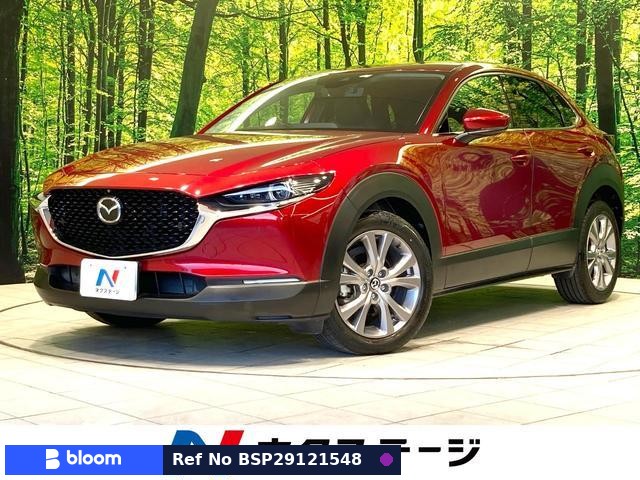 2019 Mazda CX-30