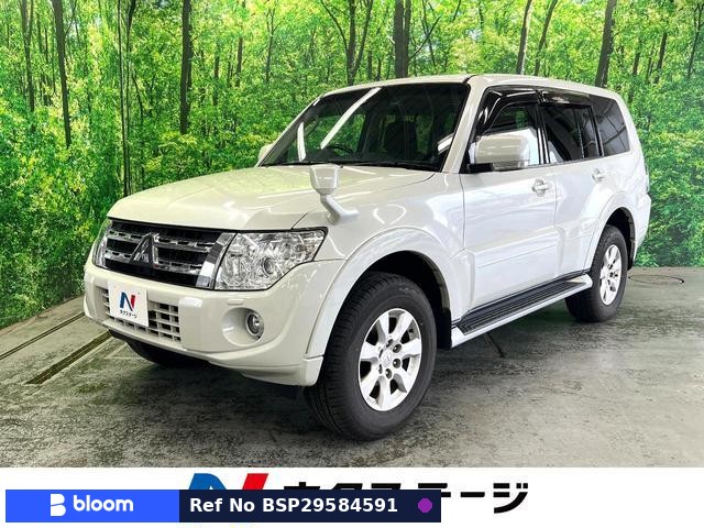 2013 Mitsubishi Pajero