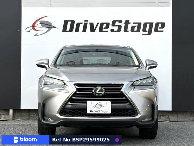 2015 Lexus NX