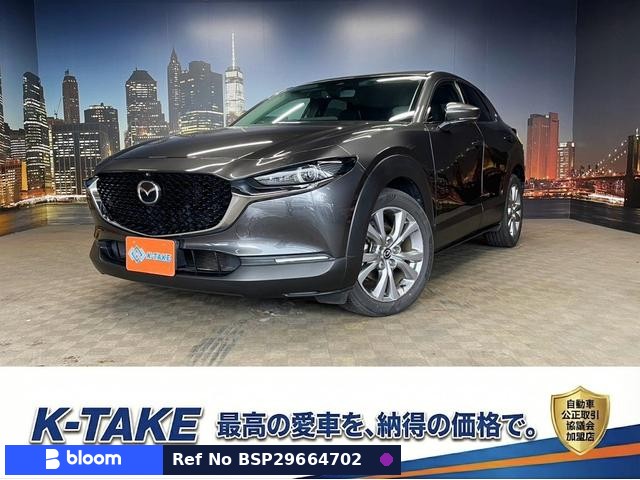 2019 Mazda CX-30