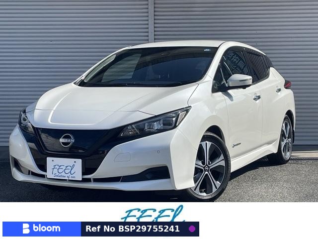 2021 Nissan Leaf