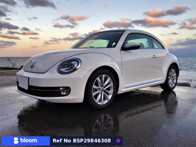 2012 Volkswagen THE Beetle